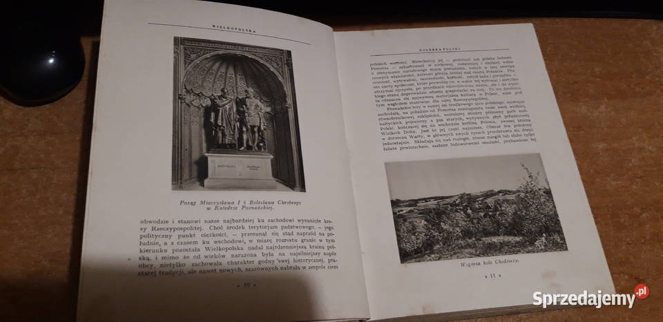 C U D A P O L S K I PIĘKNO PRZYRODY POMNIKI Iwno sprzedam