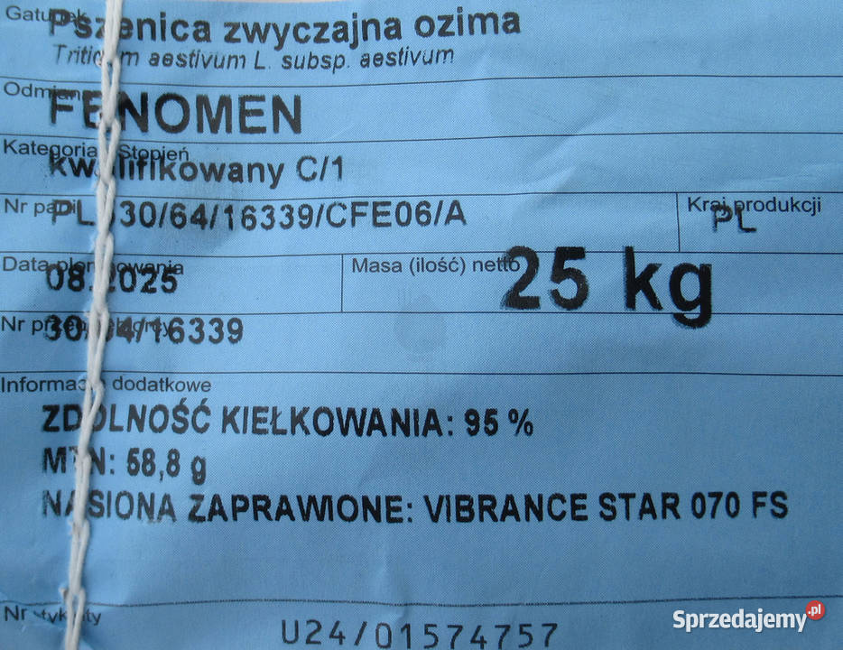 Pszenica ozima Fenomen pierwszy centrali sprzedam