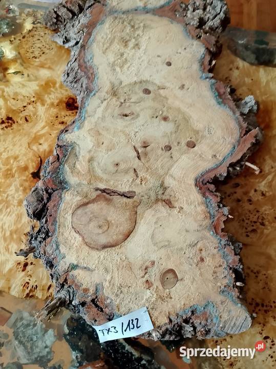 Topola czeczot plaster deska Nowy Tomyśl