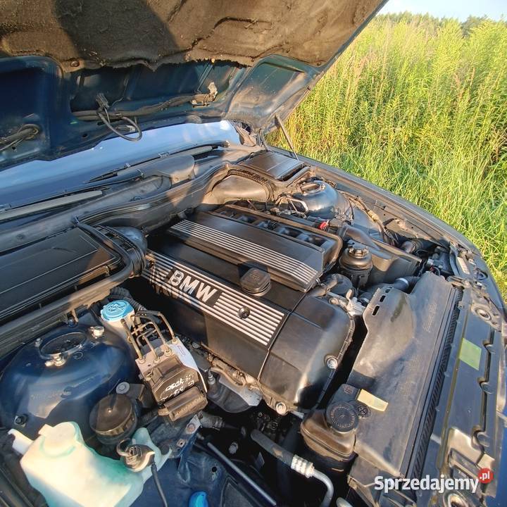 BMW E39 523i nieuszkodzony Krzykawka