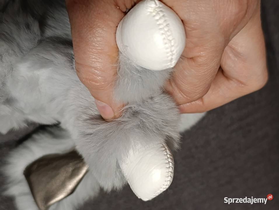 brelok królik breloczek miękki futrzak 18 Maskotki wielkopolskie sprzedam