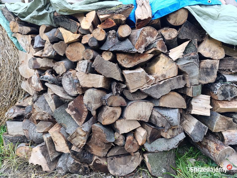 Drzewo mieszane suche Ropa