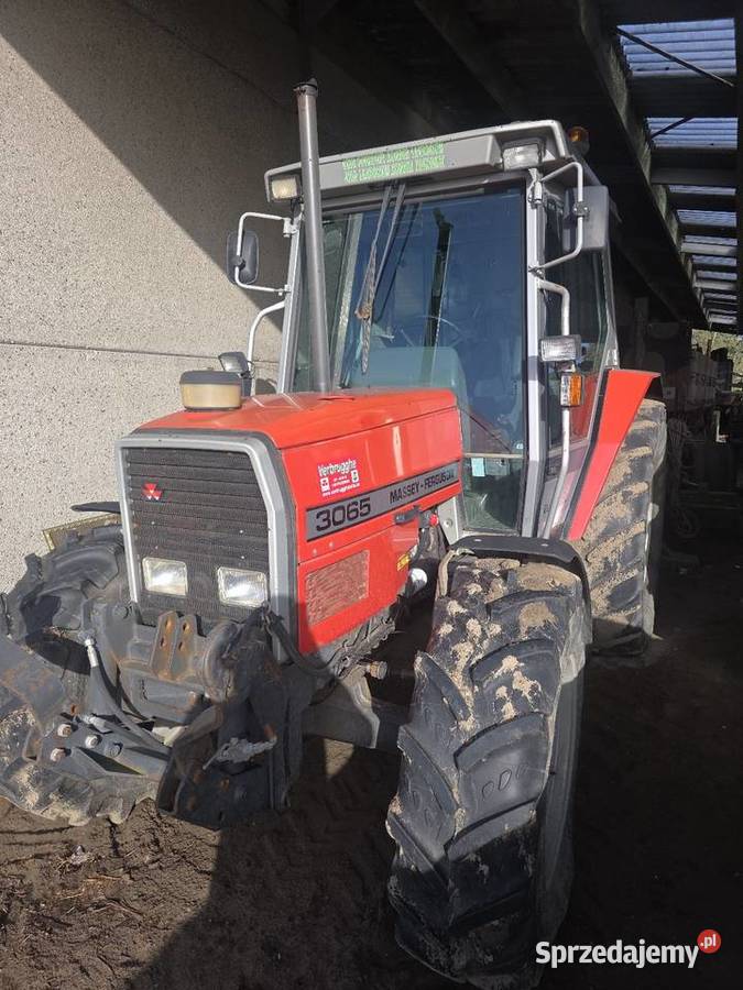 Massey Ferguson 3065 lubelskie Wólka Ratajska