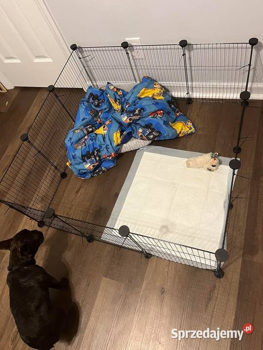 Wybieg gryzoni kojec klatka do samodzielnego