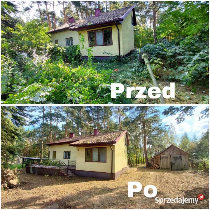 Usługi leśno ogrodnicze Kurnędz