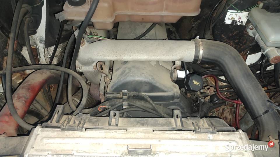 Silnik kompletny Iveco Daily III 28 dostawcze wielkopolskie Książ Wielkopolski