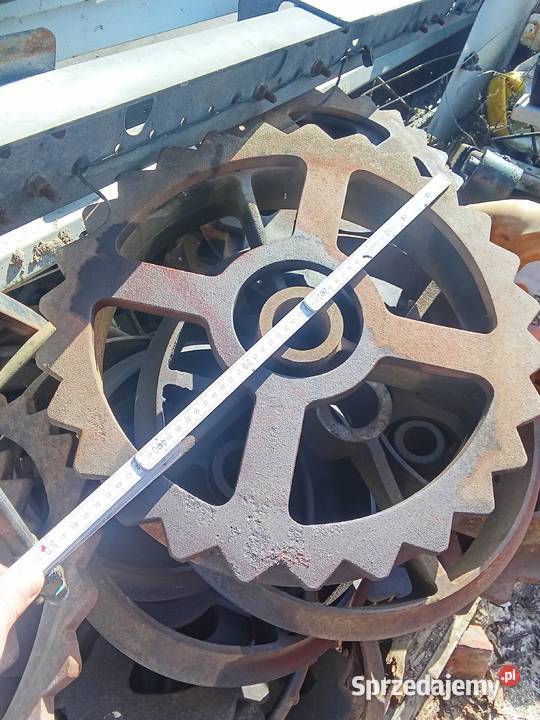 Pierścienie do wałów Cambridge 503836 Jawor