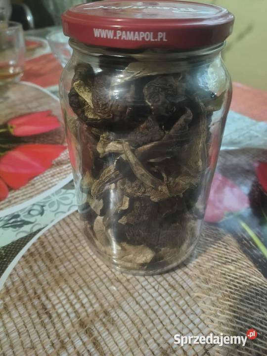 Grzyby Mix Szczypiec