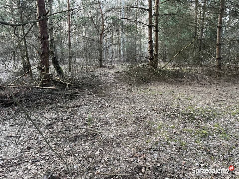 Działka budowlana w miejscowości Wola Pieczyska