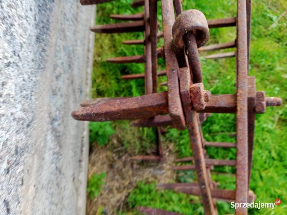 Brony Czechy sprzedam