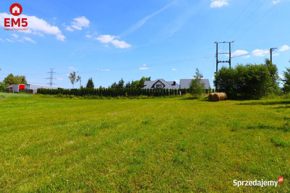 Ziemia 3000m2 Turówka Nowa 60m podlaskie