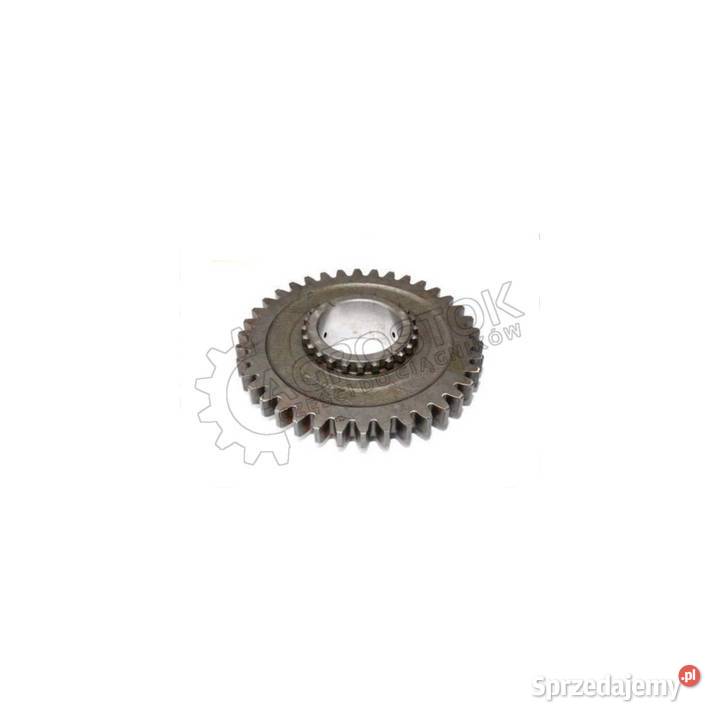 Koło zębate z3824 mtz 1025 1221 oryginał Parczew