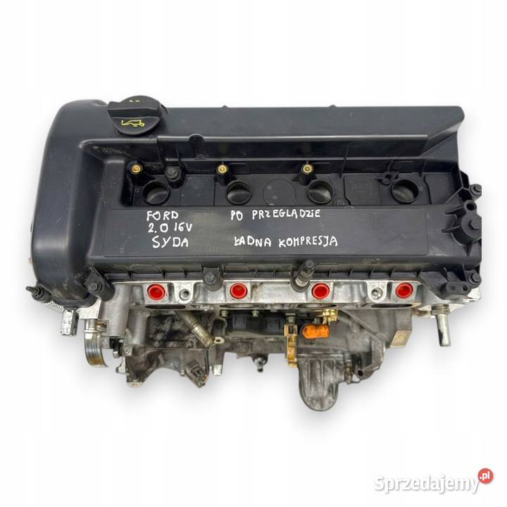 SILNIK SYDA Ford Focus II MK2 C 20 16V 145 AODA lubelskie Chełm sprzedam
