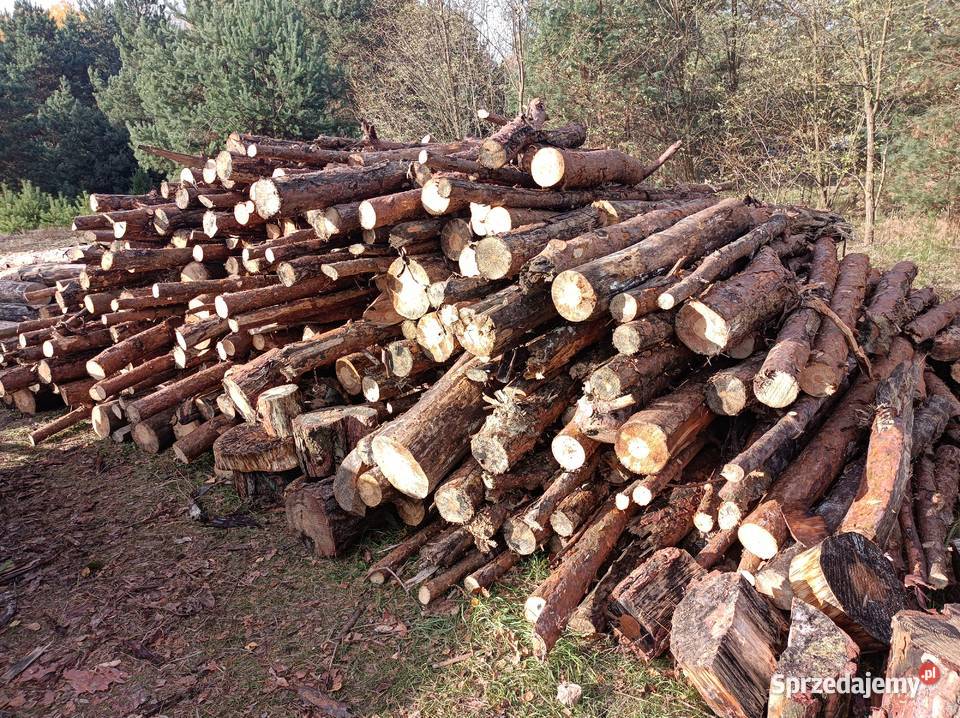 Drewno suche sprzedam