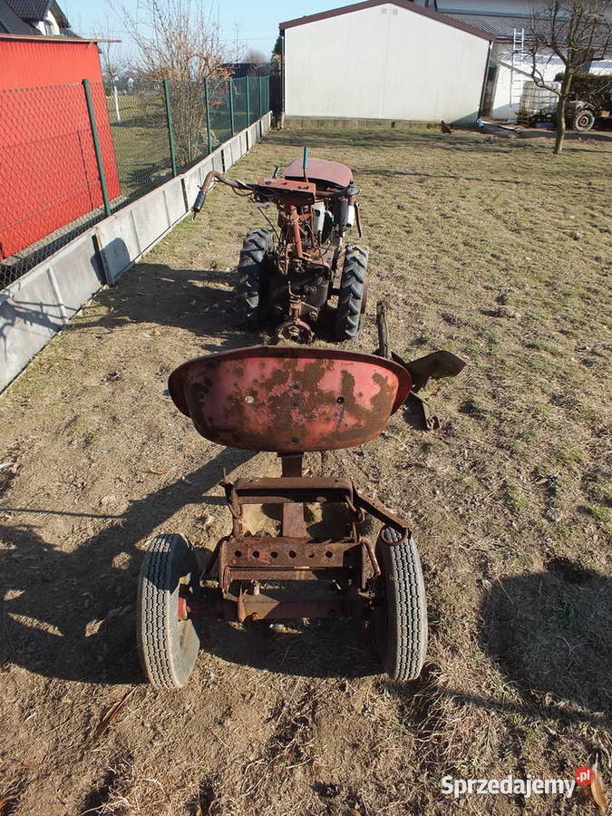 Dzik 221 Sprawny Osprzęt Kurier ŚLĄSK Golasowice