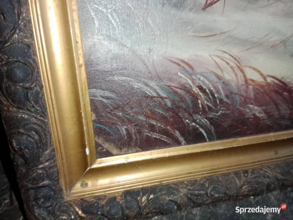 Obrazy na płótnie Poddębice