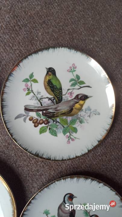 Talerzyk z ptakami Para
Do powieszenia pomorskie Gdańsk