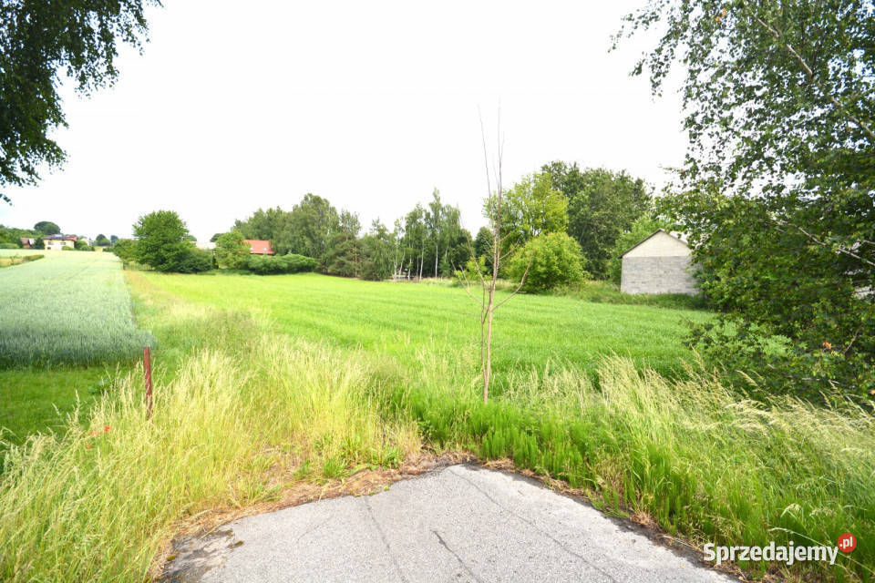 sprzedaży gruntu 2943m2 Boniewo Sprzedaż