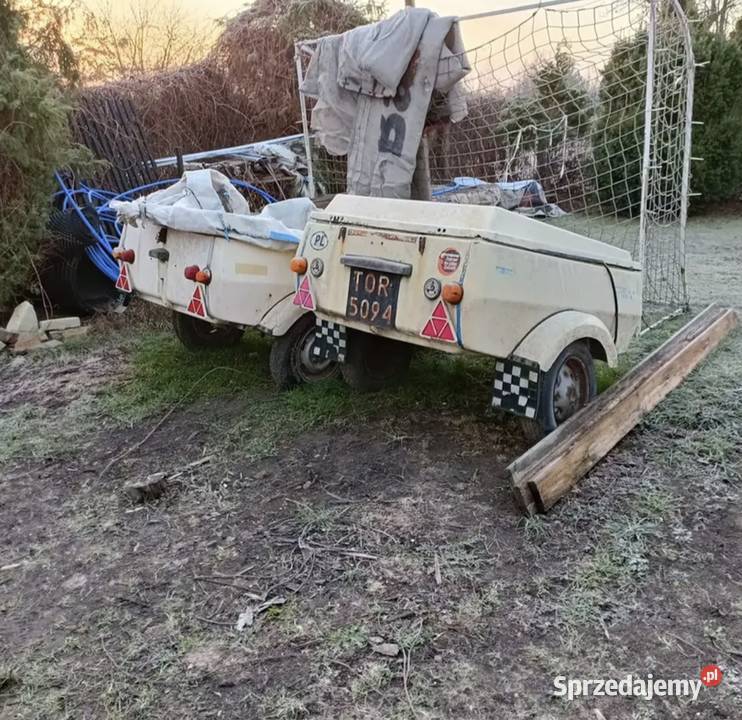 Niewiadow n250 Toruń