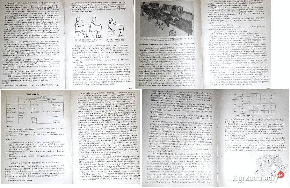 Podstawy psychologii pracy Zbigniew Pietrasiński