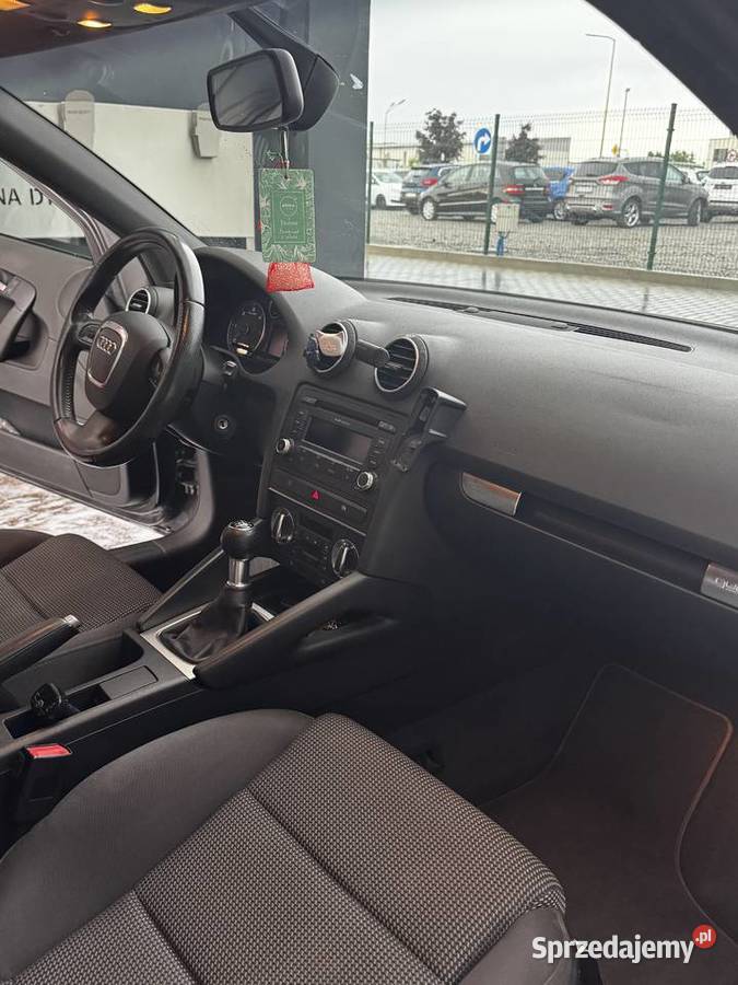 Audi A3 8P 20 TDI 170 Quattro 2009 170 000 Stargard sprzedam