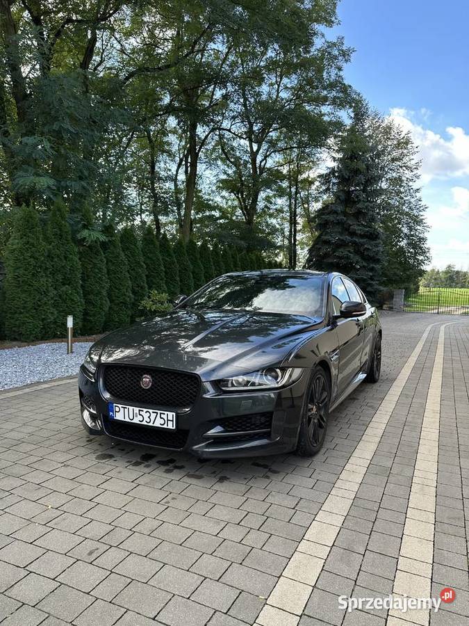 Jaguar XE RSport sprzedaż prywatna Konin