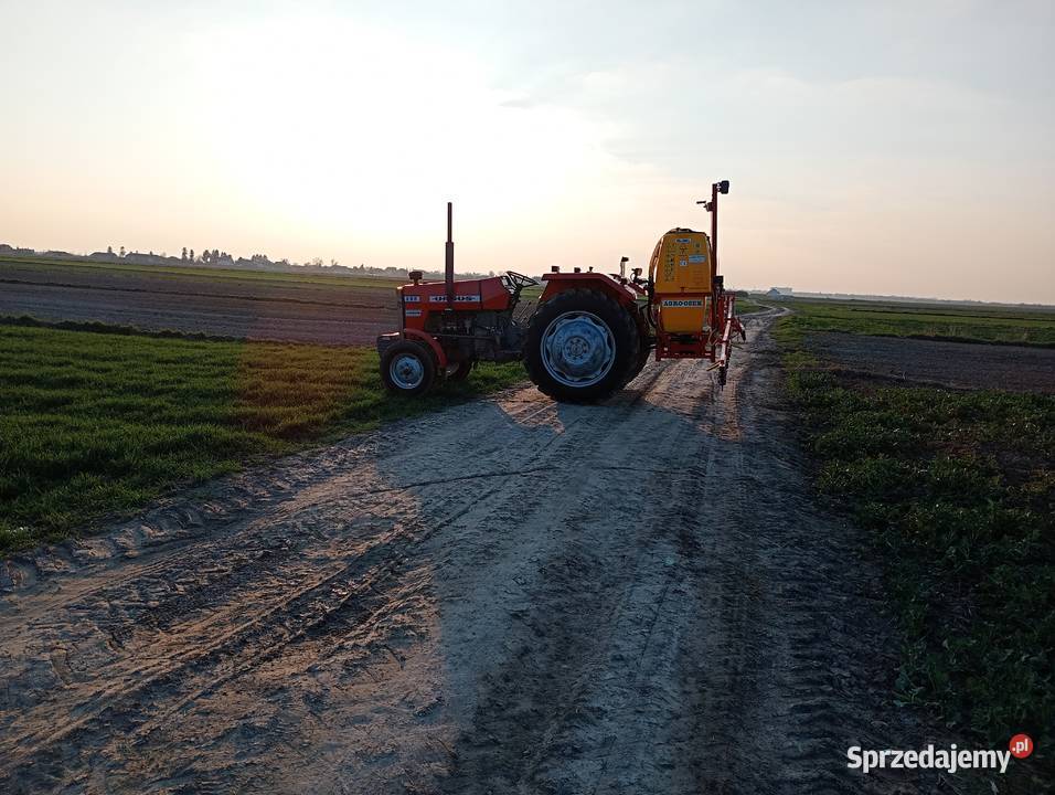 Massey Ferguson MF 255 Ursus Łęczna