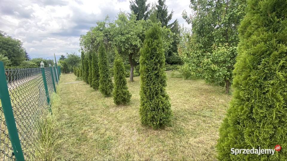 DZIAŁKA REKRECYJNA Sprzedaż Chełmża