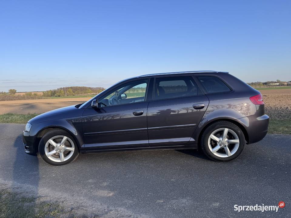 Audi a3 20 TDI 260000km Murowana Goślina