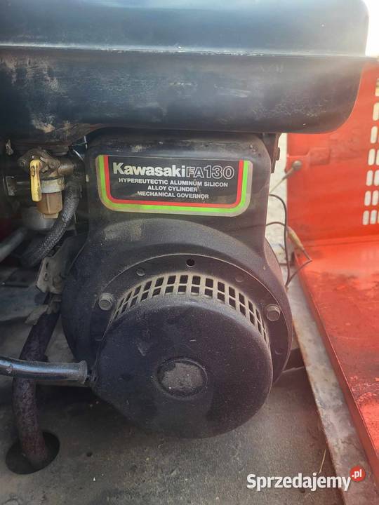 Zamiatarka Hako podkarpackie Cewków