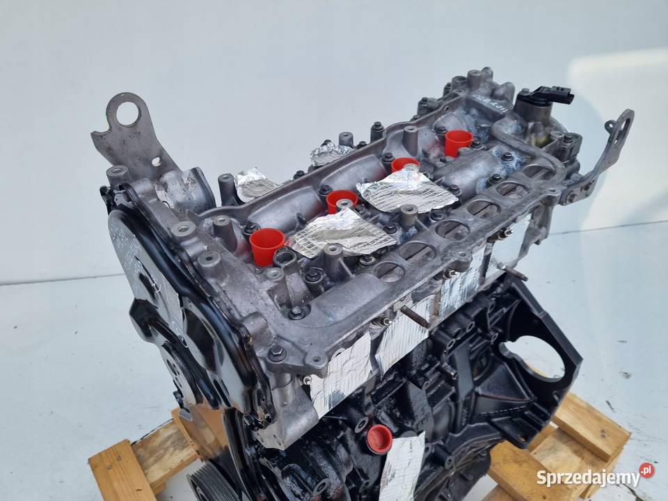 SILNIK REGENERACJI Renault Laguna III 20 DCI 150 Rudka