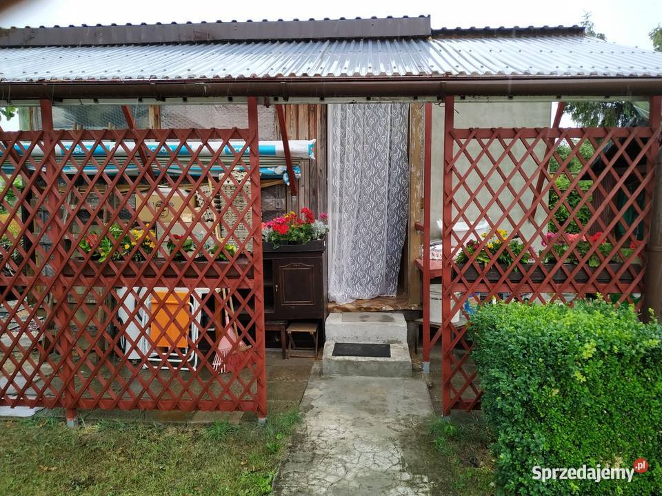 Sprzedam działkę ROD las Białołęka dworska