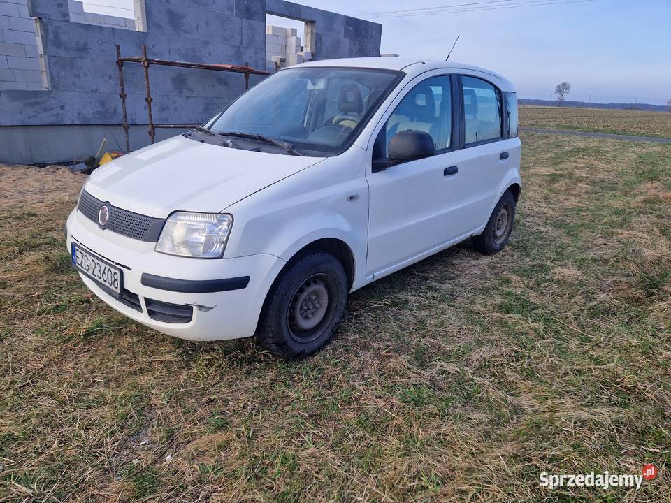 Fiat panda 2011 poj13 dissel multijet z klimą i Motoryzacja Gniezno