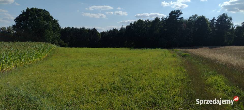 Działka z wydanymi warunkami zabudowy o pow 065 Radzynek