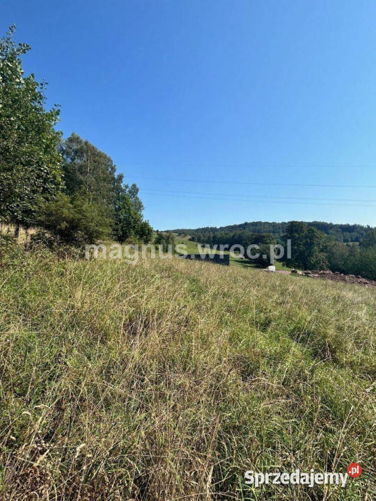 Widokowa działka budowlana na lekkim stoku Głuszyca
