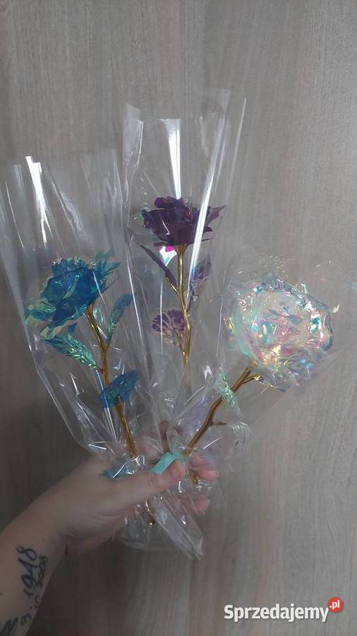 WIECZNE RÓŻE 25 RÓŻNE KOLORY śląskie Rybnik