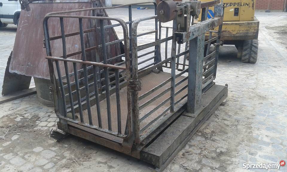 Waga do bydła żywca koni