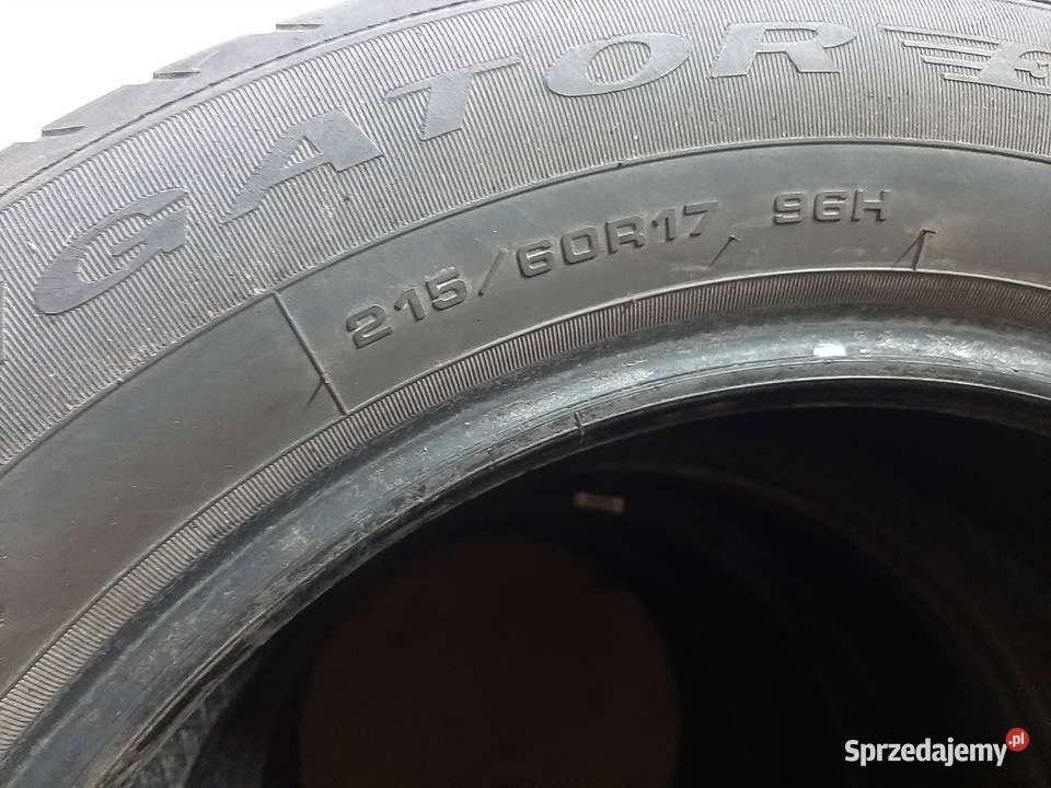 Opony komplet Dębica 21560 R17 96H 2021 Łowicz