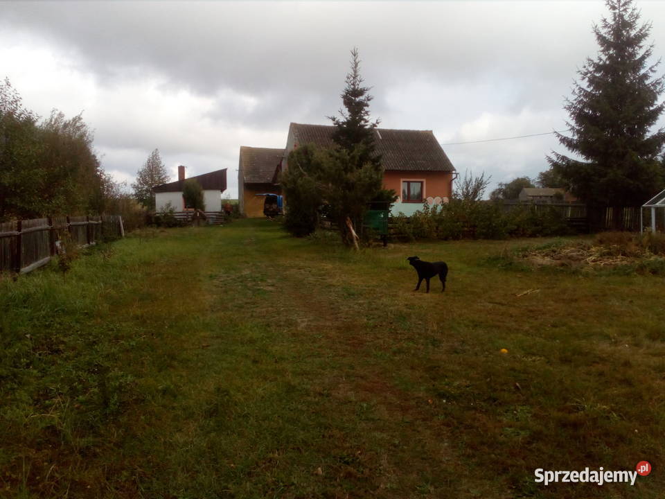 Dom Działka 12 ar Budynki gospodarcze Siekierowizna