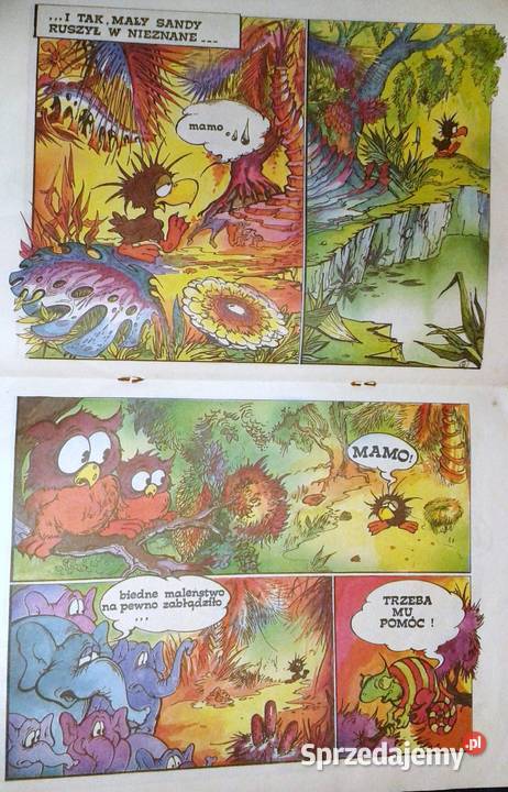 Dawid i Sandy Tom 1 Narodziny E Lutczyn Chełm