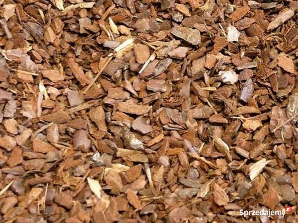 Kora sosnowa ręczny sort drobna średnia gruba Skawina