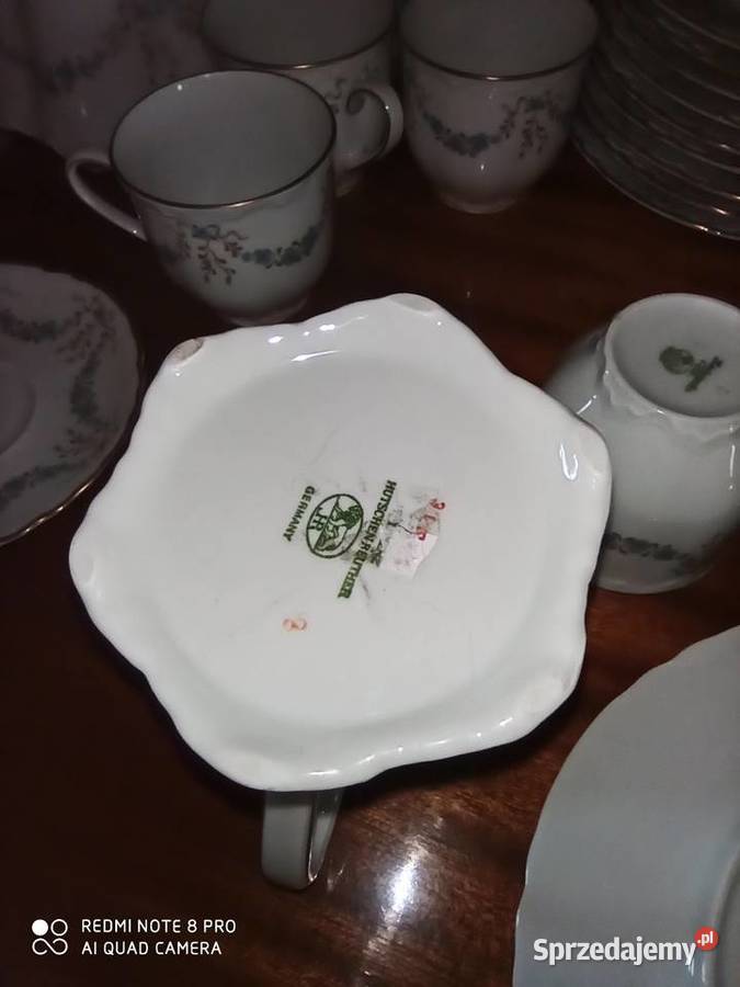 Mlecznik Hutschenrouther