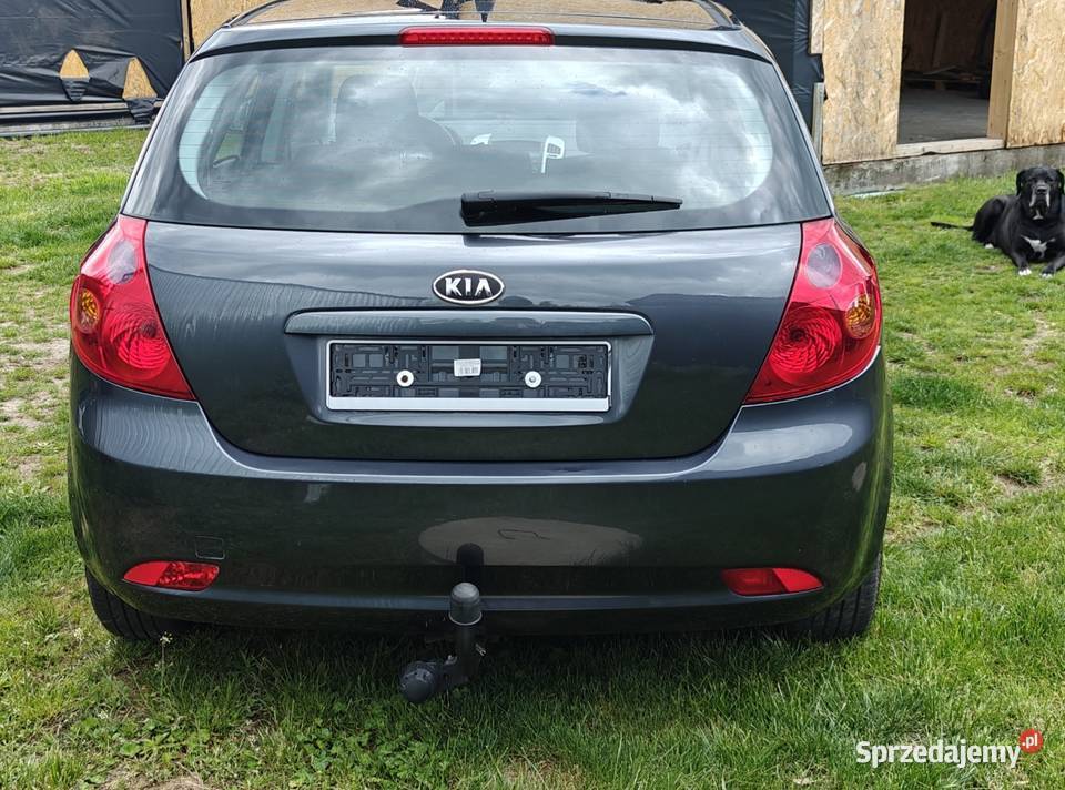 Kia ceed dużym serwisie sprowadzony Sołtyków
