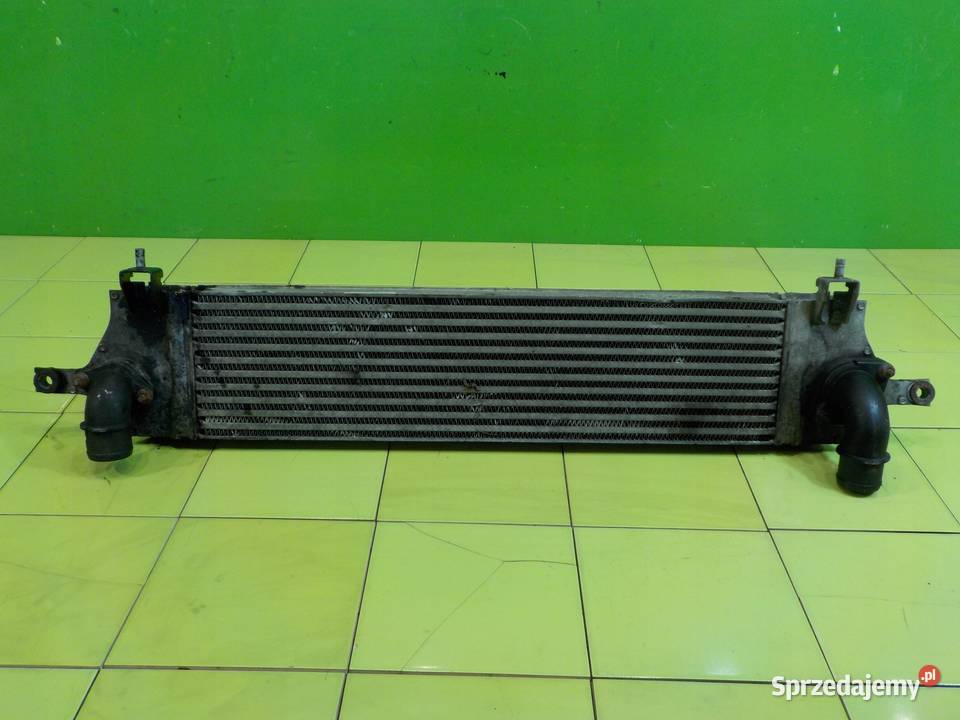 NISSAN QASHQAI J10 I LIFT 15 DCI 13r 5D mazowieckie Suków