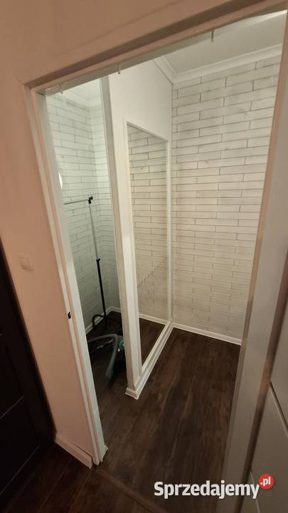 3 pokoje Gdańsk Chełmzwierzęta mile widziane sprzedam