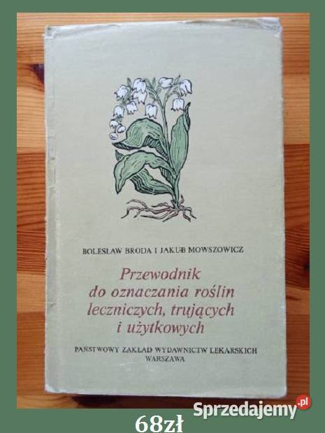 Sady intensywne Mika Czynczyk sady sadownictwo Łódź sprzedam
