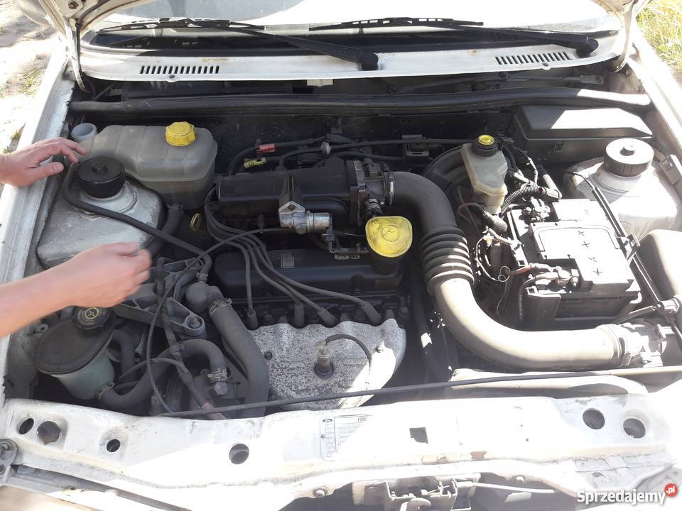 FORD FIESTA Mk4 Hatchback