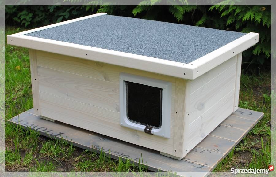 Buda kota z drzwiczkami MT WOOD Szczecin sprzedam