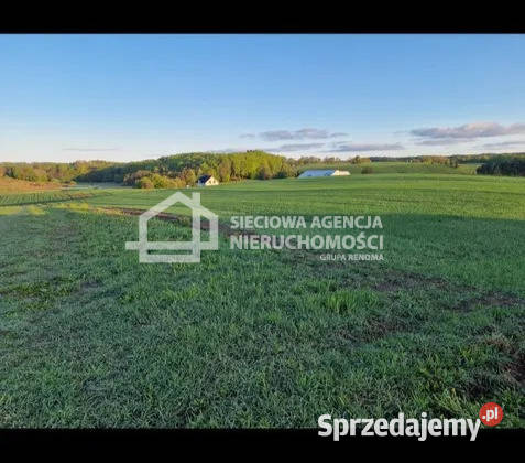 Grunt Kobysewo 1000m2 szambo sprzedam