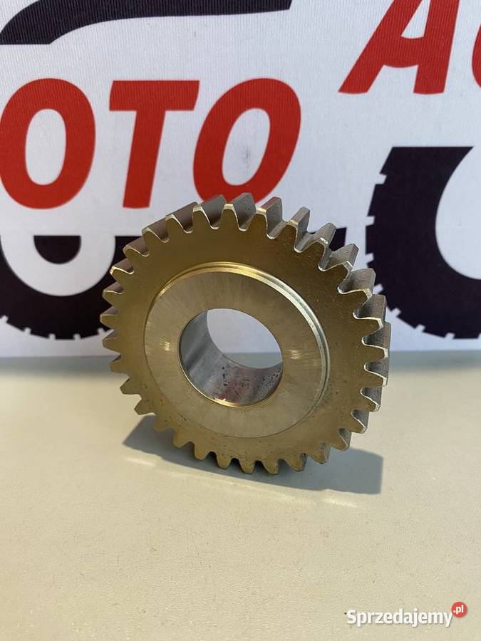 Koło zębate Z31 Massey Ferguson FEL131396